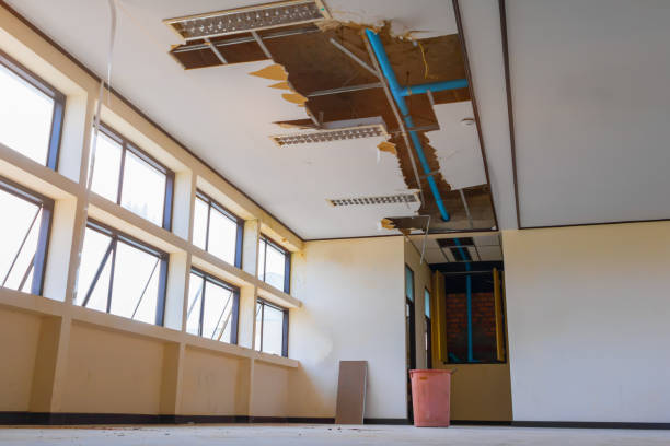 Reliable TX Water damage restoration Solutions